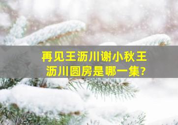 《再见王沥川》谢小秋王沥川圆房是哪一集?