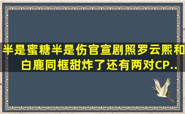 《半是蜜糖半是伤》官宣剧照罗云熙和白鹿同框甜炸了还有两对CP...