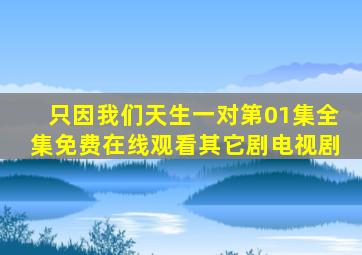 《只因我们天生一对》第01集全集免费在线观看其它剧电视剧