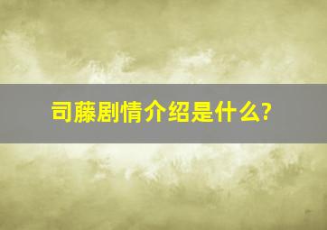 《司藤》剧情介绍是什么?