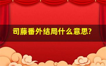 《司藤》番外结局什么意思?