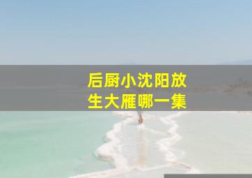 《后厨》小沈阳放生大雁哪一集(