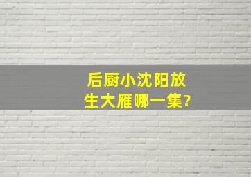 《后厨》小沈阳放生大雁哪一集?