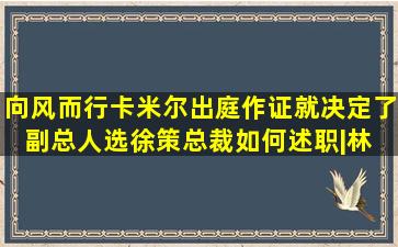 《向风而行》卡米尔出庭作证就决定了副总人选,徐策总裁如何述职|林 ...