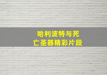 《哈利波特与死亡圣器》精彩片段(