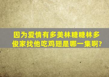 《因为爱情有多美》林糖糖林多俊家找他吃鸡翅是哪一集啊?