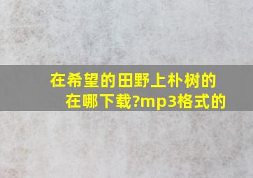 《在希望的田野上》朴树的在哪下载?mp3格式的