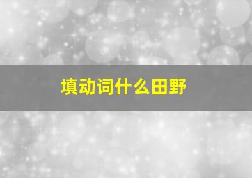 《填动词》什么田野