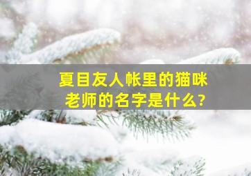 《夏目友人帐》里的猫咪老师的名字是什么?