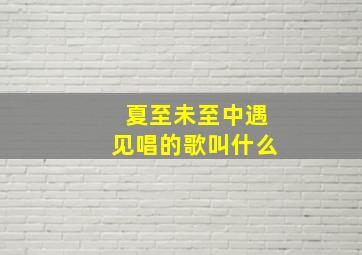 《夏至未至》中遇见唱的歌叫什么