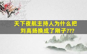 《天下夜航》主持人为什么把刘高扬换成了刚子???