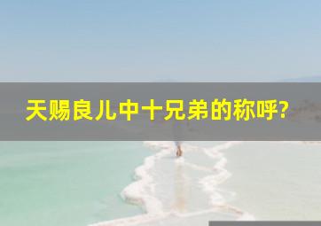 《天赐良儿》中十兄弟的称呼?