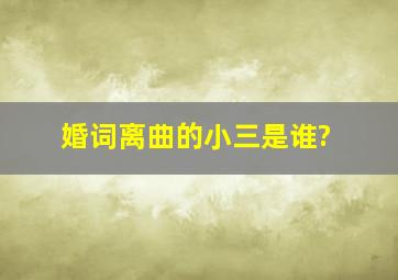 《婚词离曲》的小三是谁?