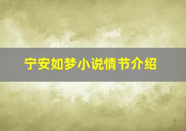 《宁安如梦》小说情节介绍