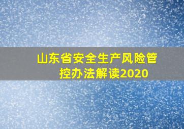 《山东省安全生产风险管控办法》解读(2020) 