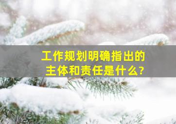 《工作规划》明确指出的主体和责任是什么?