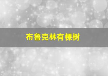 《布鲁克林有棵树》