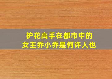 《护花高手在都市》中的女主乔小乔是何许人也