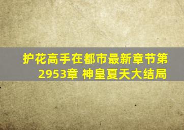 《护花高手在都市》最新章节第2953章 神皇夏天(大结局)