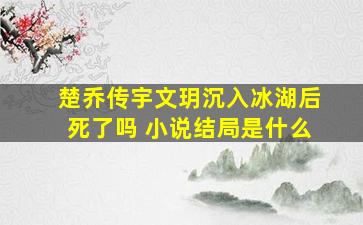 《楚乔传》宇文玥沉入冰湖后死了吗 小说结局是什么