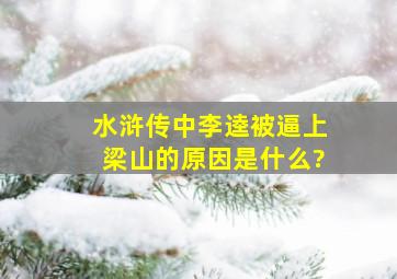 《水浒传》中李逵被逼上梁山的原因是什么?