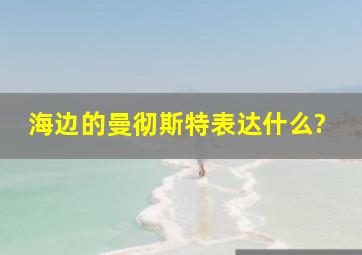 《海边的曼彻斯特》表达什么?