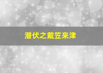 《潜伏》之戴笠来津