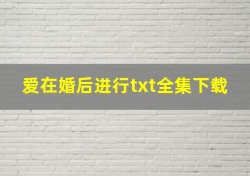 《爱在婚后进行》txt全集下载