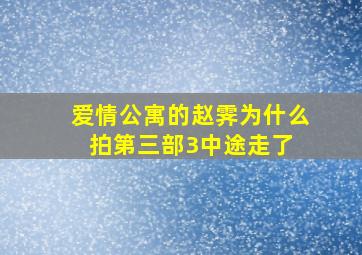 《爱情公寓》的赵霁,为什么拍第三部3中途走了 