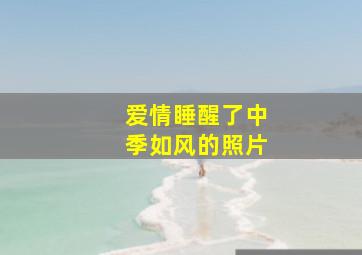 《爱情睡醒了》中季如风的照片