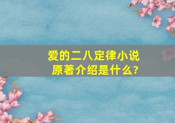 《爱的二八定律》小说原著介绍是什么?