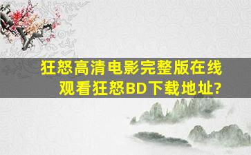 《狂怒》高清电影完整版在线观看《狂怒》BD下载地址?