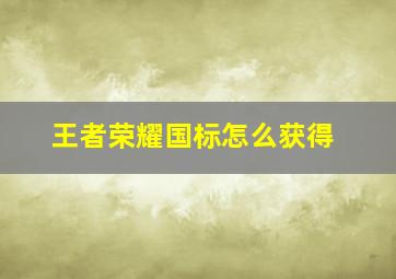 《王者荣耀》国标怎么获得(