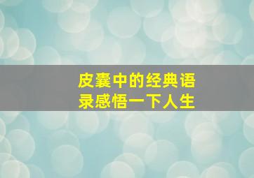 《皮囊》中的经典语录感悟一下人生