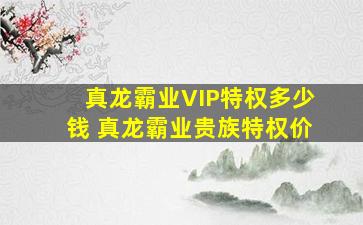 《真龙霸业》VIP特权多少钱 真龙霸业贵族特权价