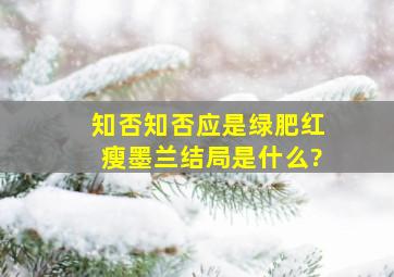 《知否知否,应是绿肥红瘦》墨兰结局是什么?