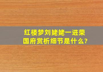 《红楼梦》刘姥姥一进荣国府赏析细节是什么?