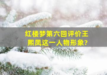 《红楼梦》第六回评价王熙凤这一人物形象?