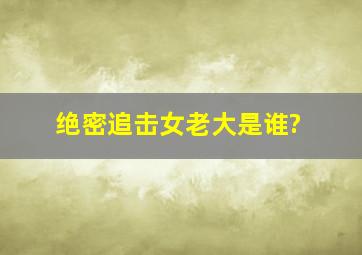 《绝密追击》女老大是谁?