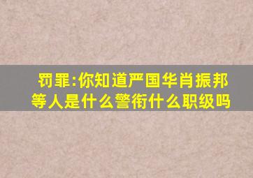 《罚罪》:你知道严国华、肖振邦等人,是什么警衔、什么职级吗