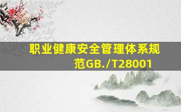 《职业健康安全管理体系规范》(GB./T28001