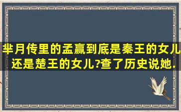 《芈月传》里的孟赢,到底是秦王的女儿还是楚王的女儿?查了历史说她...