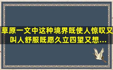 《草原》一文中这种境界既使人惊叹又叫人舒服。既愿久立四望,又想...