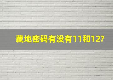 《藏地密码》有没有11和12?