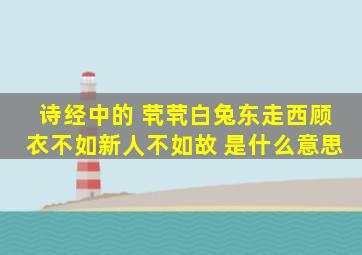 《诗经》中的 茕茕白兔,东走西顾;衣不如新,人不如故 是什么意思