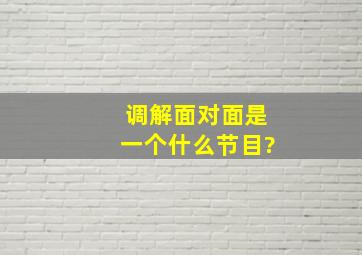 《调解面对面》是一个什么节目?