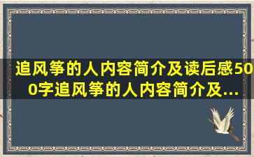 《追风筝的人》内容简介及读后感500字,《追风筝的人》内容简介及...