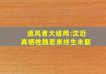 《追风者》大结局:沈近真牺牲,魏若来终生未娶