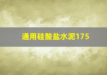 《通用硅酸盐水泥》175