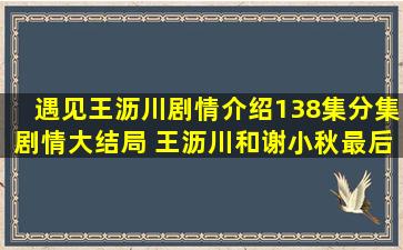 《遇见王沥川》剧情介绍138集分集剧情大结局 王沥川和谢小秋最后在...